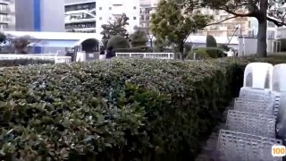 亚洲AV.卫视体育亚洲日本免费一区香蕉视频,亚洲毛片免费一级,国产在线精品一区亚洲毛片免费一级,国产在线精品一区二区不卡麻豆